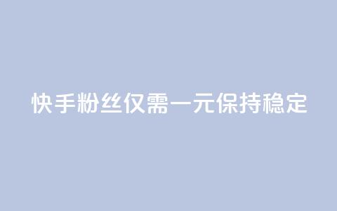 快手10000粉丝仅需一元保持稳定  第1张