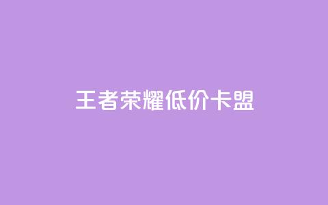王者荣耀低价卡盟 - 王者荣耀超值卡盟优惠攻略~  第1张