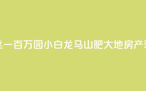 快手粉丝一百万0.01园小白龙马山肥大地房产装修网站,抖音粉丝号账号交易平台 - qq一毛钱10000赞 24自助下单  第1张