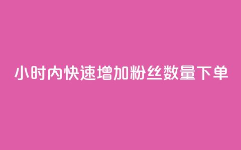 24小时内快速增加粉丝数量下单  第1张