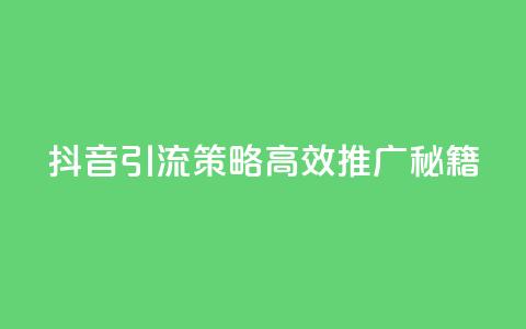 抖音引流策略：高效推广秘籍  第1张