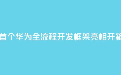 业界首个！华为全流程AI开发框架ModelEngine亮相：开箱即用  第1张