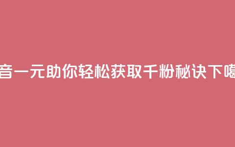 抖音一元助你轻松获取千粉秘诀  第1张