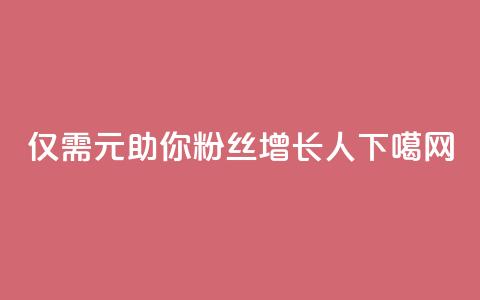 仅需1元助你粉丝增长1000人  第1张