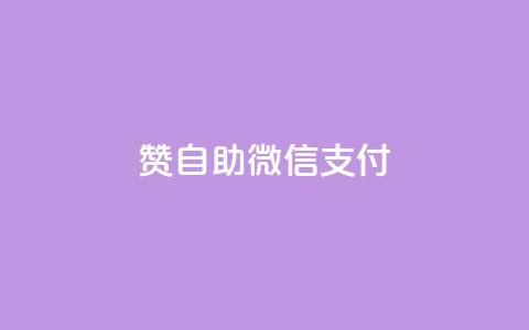Ks赞自助微信支付,抖音点赞秒到账 - ks一元1000个赞秒到软件 ks免费业务网址  第1张
