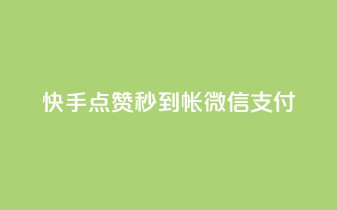 快手点赞秒到帐微信支付,拼多多无限账号下单软件 - qq空间访客量的网站 qq免费名片像素大作战  第1张