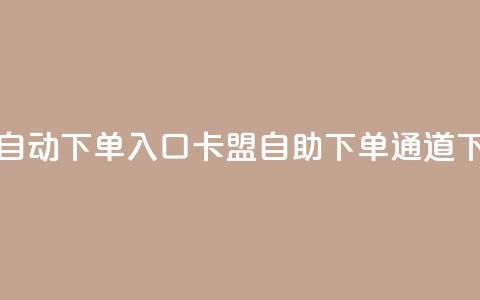 卡盟自动下单入口(卡盟自助下单通道)  第1张