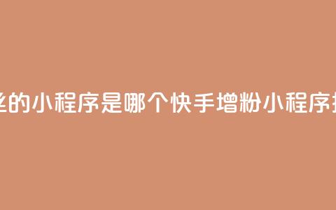 快手涨粉丝的小程序是哪个(快手增粉小程序推荐)  第1张