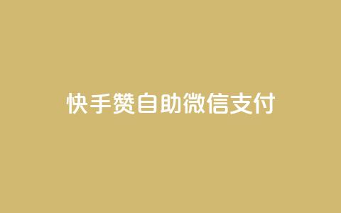 快手赞自助微信支付 - 快手赞推出便捷微信支付服务!  第1张