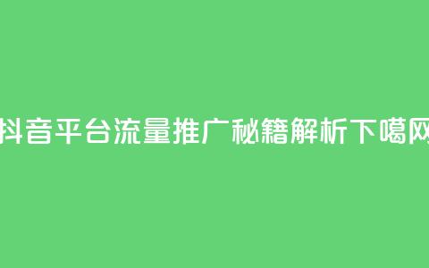 抖音平台流量推广秘籍解析  第1张