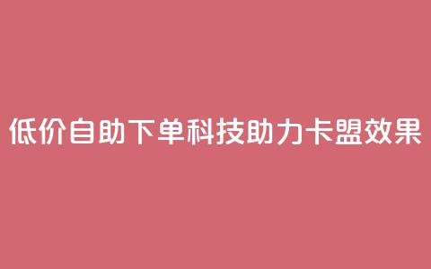 低价自助下单科技助力卡盟SEO效果  第1张