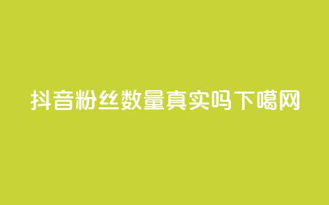 抖音粉丝数量真实吗？  第1张