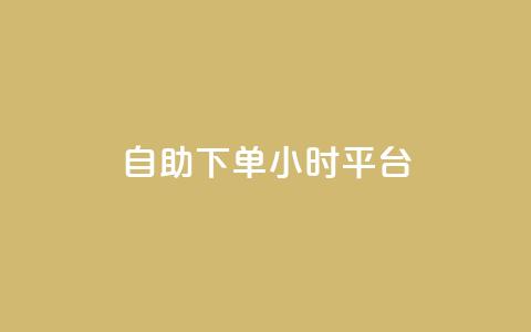 自助下单24小时平台Xhs - 便捷高效！24小时自助下单平台Xhs, 快速满足您的需求!  第1张