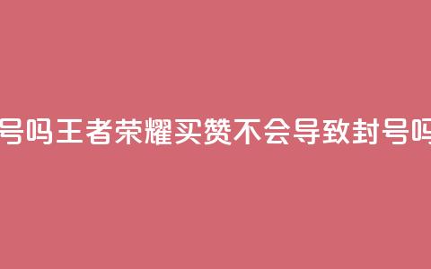 王者荣耀买赞不会封号吗 - 王者荣耀买赞不会导致封号吗？获取真实答案！!  第1张