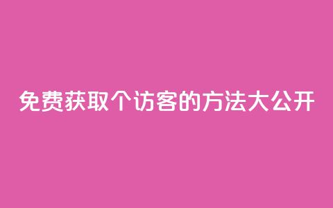 免费获取100个访客的方法大公开  第1张