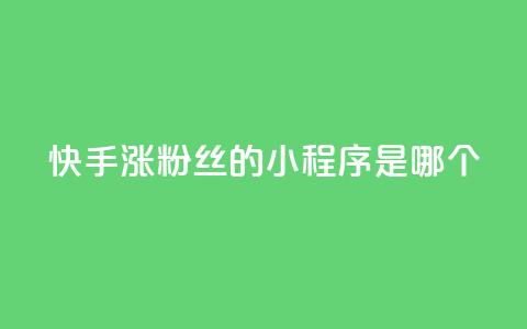 快手涨粉丝的小程序是哪个,彩虹云商城怎么自动补充卡密 - ks一键取赞下载 低价购买QQ会员的平台  第1张