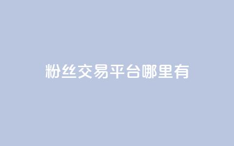 粉丝交易平台哪里有 - 哪里可以找到粉丝交易平台！  第1张