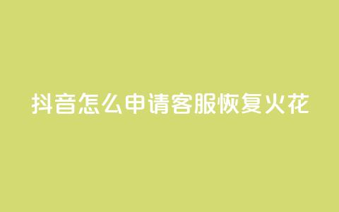 抖音怎么申请客服恢复火花 - 如何有效申请抖音客服恢复服务！  第1张
