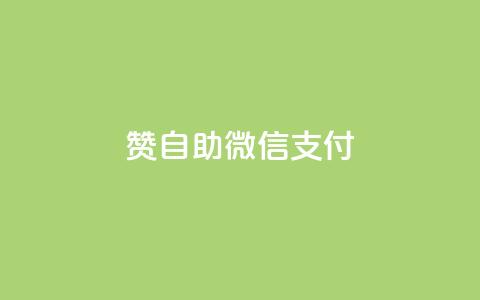 Ks赞自助微信支付 - 微信卡盟  第1张