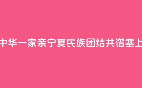 【铸牢共同体 中华一家亲】宁夏：民族团结 共谱塞上江南新篇章  第1张