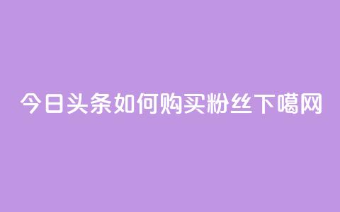 今日头条如何购买粉丝  第1张