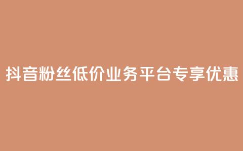抖音粉丝低价业务平台专享优惠  第1张