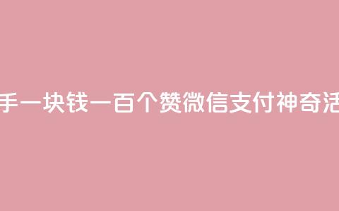 快手一块钱一百个赞微信支付神奇活动  第1张