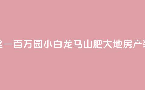 快手粉丝一百万0.01园小白龙马山肥大地房产装修网站,抖音业务下单24小时平台 - ks播放量业务免费 KS业务下单平台最新  第1张