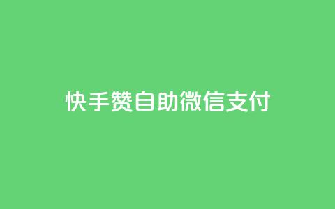 快手赞自助微信支付 - 快手赞微信支付自助操作指南！  第1张