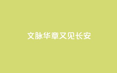 文脉华章｜又见长安  第1张
