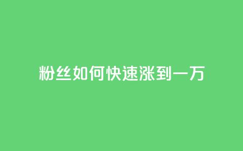 粉丝如何快速涨到一万,ks在线业务 - 哔站业务自助 dy低价下单平台最便宜  第1张