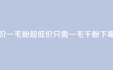 低价Ks一毛1000粉(超低价Ks只需一毛千粉！)  第1张