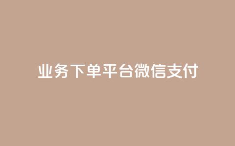 KS业务下单平台微信支付,快手抖音双击24小时下单网站 - dy自助服务平台 抖音一万播放1块钱  第1张