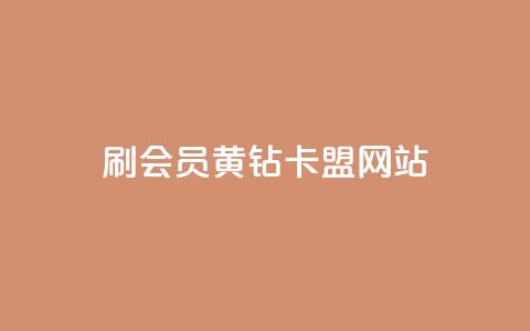 刷qq会员黄钻卡盟网站 - 提升QQ体验，尽享黄钻会员服务新途径~  第1张