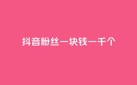 抖音粉丝一块钱一千个 - 抖音粉丝仅需一元获取千人关注秘诀揭秘！  第1张