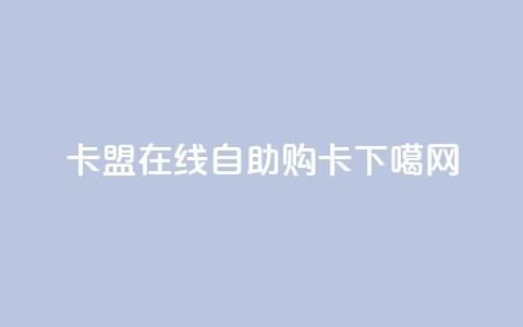 91卡盟：在线自助购卡  第1张