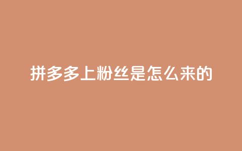 拼多多上粉丝是怎么来的 - 免费快手播放量平台  第1张