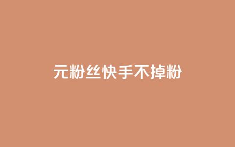 1元3000粉丝快手不掉粉,1元100赞全网最低价 - 拼多多在线助力网站 博主拼多多助力  第1张