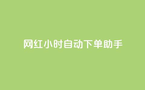 网红24小时自动下单助手 - qq自助平台全网最低  第1张