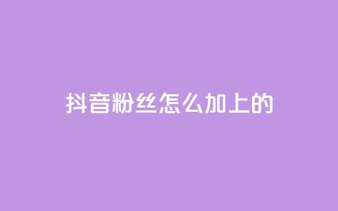 抖音粉丝怎么加上的,抖音快手账号交易平台官网 - 全网最低业务平台便宜快手 抖音粉丝怎么加上的  第1张