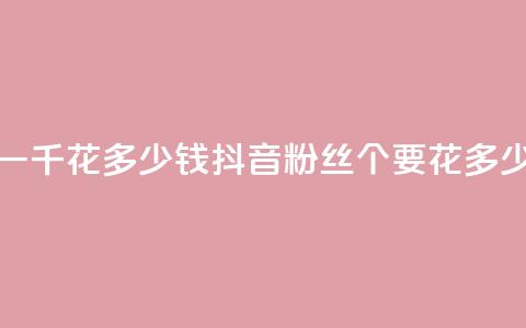 抖音粉丝一千花多少钱(抖音粉丝1000个要花多少钱)  第1张