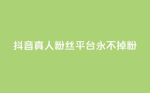 抖音真人粉丝平台 永不掉粉,抖音怎么增加浏览量和粉丝 - 全网最低价qq业务平台登录 快手涨1000粉丝网站是多少  第1张