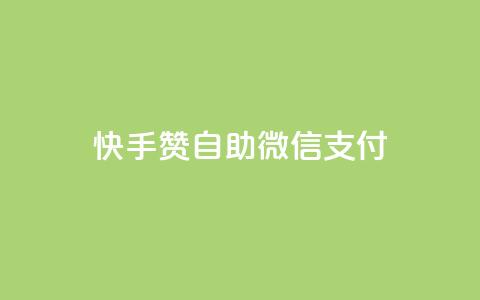 快手赞自助微信支付,快手业务在线下单平台全网最低 - 子潇24小时下单 空间访问量50000免费  第1张