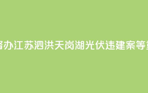 两部门联合挂牌督办江苏泗洪天岗湖光伏违建案等重大疑难复杂案件  第1张