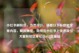 小红书刷粉丝，当然可以，请看以下标题和文章内容，解锁秘密，如何在小红书上快速吸引大量粉丝亿乐社区SUP货源站