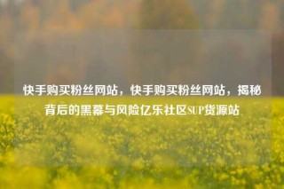快手购买粉丝网站，快手购买粉丝网站，揭秘背后的黑幕与风险亿乐社区SUP货源站