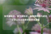 快手刷粉丝，快手刷粉丝，揭秘黑科技与成功之道亿乐社区低价自营货源站
