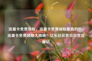 流量卡免费领取，流量卡免费领取是真的吗，流量卡免费领取大揭秘！亿乐社区低价自营货源站