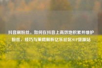 抖音刷粉丝，如何在抖音上高效地积累并维护粉丝，技巧与策略解析亿乐社区SUP货源站
