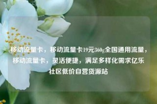 移动流量卡，移动流量卡19元360g全国通用流量，移动流量卡，灵活便捷，满足多样化需求亿乐社区低价自营货源站